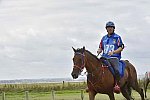 WEG-EnduranceRace-8-28-14-0002224-DDeRosaPhoto