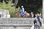 WEG-EnduranceRace-8-28-14-0002246-DDeRosaPhoto