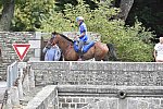WEG-EnduranceRace-8-28-14-0002247-DDeRosaPhoto