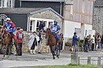 WEG-EnduranceRace-8-28-14-0002257-DDeRosaPhoto