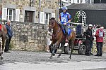 WEG-EnduranceRace-8-28-14-0002263-DDeRosaPhoto