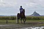WEG-EnduranceRace-8-28-14-0002294-DDeRosaPhoto