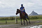 WEG-EnduranceRace-8-28-14-0002300-DDeRosaPhoto