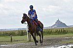 WEG-EnduranceRace-8-28-14-0002301-DDeRosaPhoto
