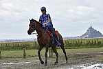 WEG-EnduranceRace-8-28-14-0002303-DDeRosaPhoto