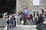 WEG-EnduranceRace-8-28-14-0002319-DDeRosaPhoto