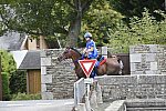 WEG-EnduranceRace-8-28-14-0002329-DDeRosaPhoto