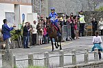 WEG-EnduranceRace-8-28-14-0002338-DDeRosaPhoto