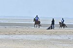 WEG-EnduranceRace-8-28-14-0003787-DDeRosaPhoto