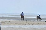 WEG-EnduranceRace-8-28-14-0003789-DDeRosaPhoto