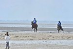 WEG-EnduranceRace-8-28-14-0003793-DDeRosaPhoto