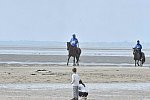 WEG-EnduranceRace-8-28-14-0003802-DDeRosaPhoto