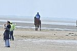 WEG-EnduranceRace-8-28-14-0003811-DDeRosaPhoto