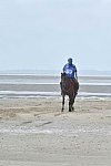 WEG-EnduranceRace-8-28-14-0003824-DDeRosaPhoto