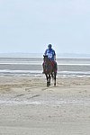 WEG-EnduranceRace-8-28-14-0003825-DDeRosaPhoto