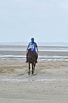 WEG-EnduranceRace-8-28-14-0003830-DDeRosaPhoto