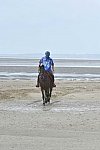 WEG-EnduranceRace-8-28-14-0003832-DDeRosaPhoto