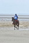 WEG-EnduranceRace-8-28-14-0003836-DDeRosaPhoto