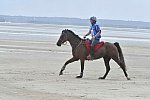 WEG-EnduranceRace-8-28-14-0003864-DDeRosaPhoto