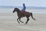 WEG-EnduranceRace-8-28-14-0003865-DDeRosaPhoto