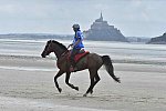 WEG-EnduranceRace-8-28-14-0003884-DDeRosaPhoto