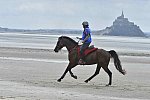 WEG-EnduranceRace-8-28-14-0003885-DDeRosaPhoto