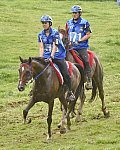 WEG-EnduranceRace-8-28-14-0001021-DDeRosaPhoto