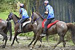 WEG-EnduranceRace-8-28-14-0001051-DDeRosaPhoto