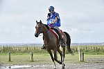 WEG-EnduranceRace-8-28-14-0001711-DDeRosaPhoto