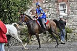 WEG-EnduranceRace-8-28-14-0001755-DDeRosaPhoto