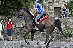 WEG-EnduranceRace-8-28-14-0001761-DDeRosaPhoto