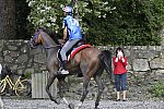 WEG-EnduranceRace-8-28-14-0001762-DDeRosaPhoto