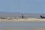 WEG-EnduranceRace-8-28-14-0003348-DDeRosaPhoto