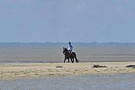 WEG-EnduranceRace-8-28-14-0003363-DDeRosaPhoto