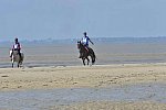 WEG-EnduranceRace-8-28-14-0003369-DDeRosaPhoto