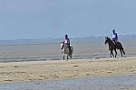 WEG-EnduranceRace-8-28-14-0003372-DDeRosaPhoto