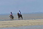 WEG-EnduranceRace-8-28-14-0003374-DDeRosaPhoto