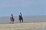 WEG-EnduranceRace-8-28-14-0003377-DDeRosaPhoto