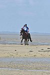 WEG-EnduranceRace-8-28-14-0003386-DDeRosaPhoto