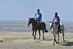 WEG-EnduranceRace-8-28-14-0003408-DDeRosaPhoto