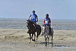 WEG-EnduranceRace-8-28-14-0003411-DDeRosaPhoto