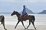 WEG-EnduranceRace-8-28-14-0003442-DDeRosaPhoto