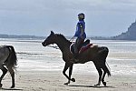WEG-EnduranceRace-8-28-14-0003444-DDeRosaPhoto