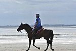 WEG-EnduranceRace-8-28-14-0003447-DDeRosaPhoto