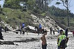 WEG-EnduranceRace-8-28-14-0003483-DDeRosaPhoto