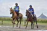 WEG-EnduranceRace-8-28-14-0001949-DDeRosaPhoto