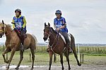 WEG-EnduranceRace-8-28-14-0001951-DDeRosaPhoto