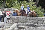 WEG-EnduranceRace-8-28-14-0001965-DDeRosaPhoto