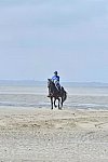 WEG-EnduranceRace-8-28-14-0003618-DDeRosaPhoto