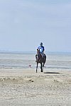 WEG-EnduranceRace-8-28-14-0003624-DDeRosaPhoto